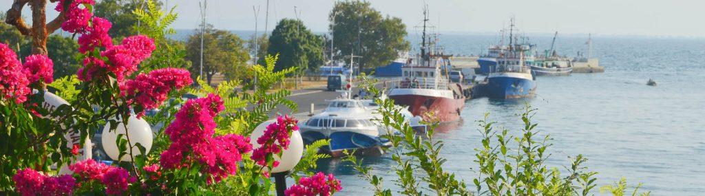 Nessebar Feriendialyse