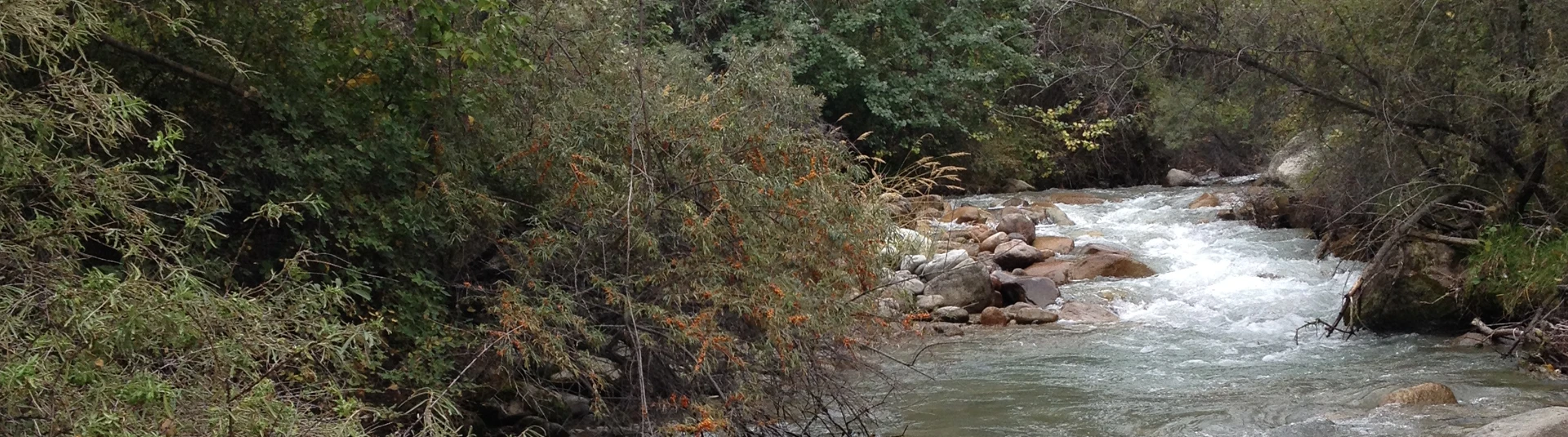 Feriendialyse Kaskelen